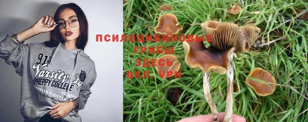 Альфа ПВП Богородск